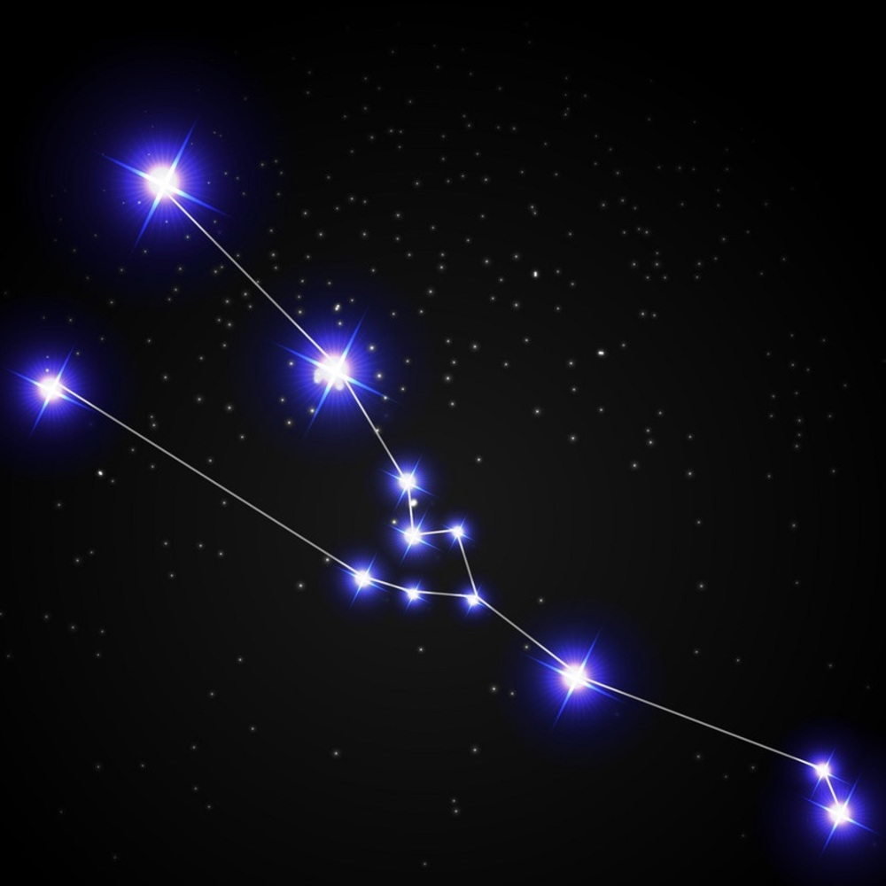 Meet your Posher, Luci